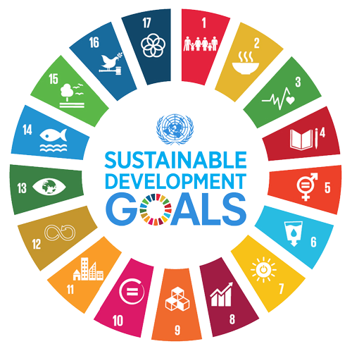 il cerchio dei 17 obiettivi di sviluppo di agenda 2030